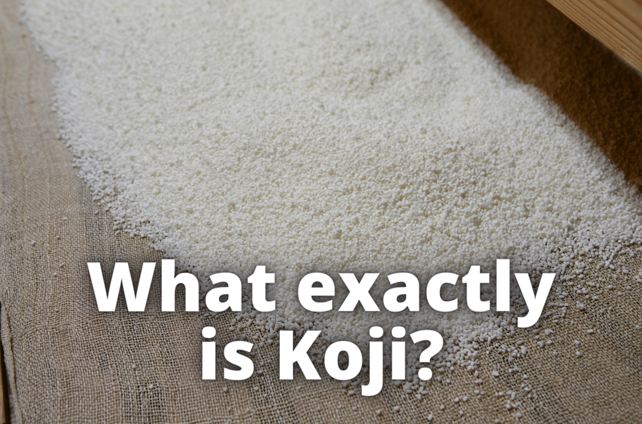What exactly is koji?