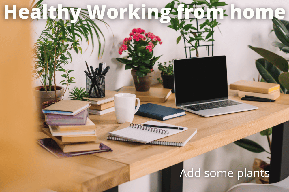 healthy working from home: add some plants